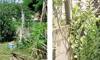 Imagem 4: Casa com terreno no interior