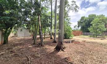 Imagem 3: Terreno à venda no Parque Planalto, amplo, plano e ideal para investidores ou projetos per