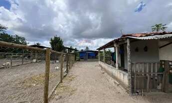 Imagem 7: Sítio dos Sonhos: 20 Tarefas á 15 min do centro, Imperdível!