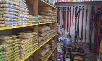 Imagem 7: Pet Shop em Local Nobre Butantã