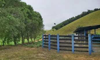 Imagem: Venda-se está propriedade de 42 Alqueires