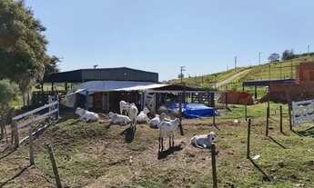 Imagem 7: Sitio 20.500 2 Hectares (Lindo) R$850.000,00