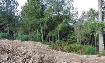 Imagem: Terreno - Bairro Dutra