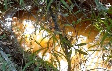 Imagem 5: Chacara caldas novas lagoa quente