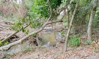 Imagem 7: Chácara Excepcional em Riacho Fundo - DF