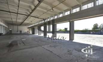 Imagem: Locação Galpão Sao Paulo Jaguaré Ref