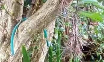 Imagem 7: Terreno 11 x 30 com 2 casas