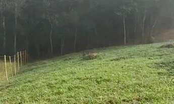 Imagem 4: Lote à Venda  Bairro Papa Milho, 1.040 m²