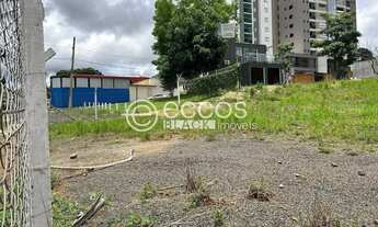 Imagem 3: Área à venda, Tibery - Uberlândia/MG