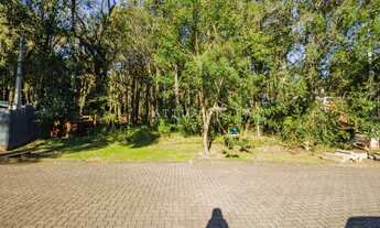 Imagem 3: PINHEIRO GROSSO Terreno / lote com venda por R$615.000