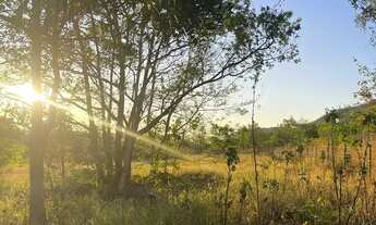 Imagem 4: Lote ideal para quem busca construir uma casa de alto padrão, pousada ou espaço de lazer f
