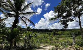 Imagem: Chácara em Vale Verde