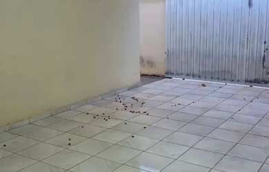 Imagem 4: CASA SETOR UNIÃO COM 3 QUARTOS VARANDA FRENTE PRAÇA PROX A AV T-9 OPORTUNIDADE ÚNICA