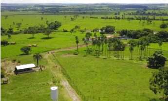 Imagem 3: Fazenda à venda de 86 alqueires em Guapo-GO