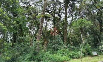 Imagem 5: Terreno à Venda em Canela!