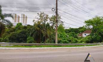 Imagem 2: Terreno na BR 116