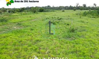 Imagem 6: Vendo Fazenda de 291 hectares