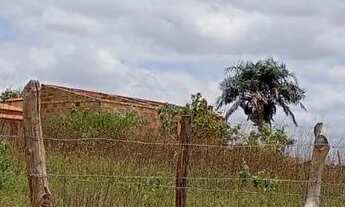 Imagem 3: Terreno em Serrinha-Ba