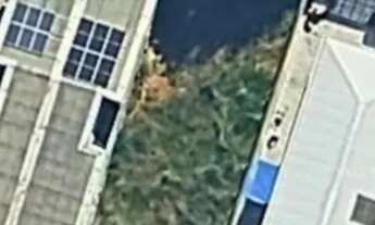 Imagem: Terreno à venda na Vila Gilda em Santo