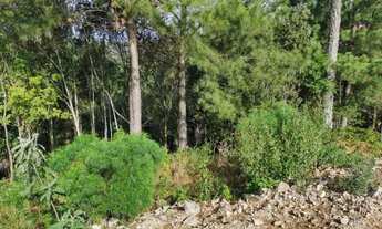 Imagem 2: Terreno - Bairro Dutra