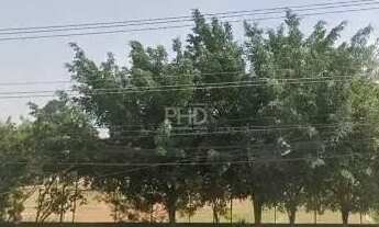 Imagem 5: Terreno à venda, Jardim Cristiane - Santo André/SP