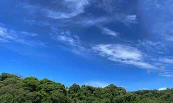 Imagem: Excelente Negócio! Terreno em Ibiúna SP