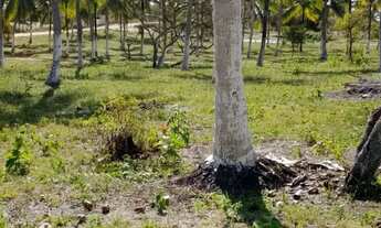 Imagem: Vendo lote lagoa redonda Pirambu