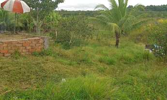 Imagem 5: Terreno com casa