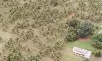 Imagem 2: FAZENDA À VENDA 37,5 HECTARES MAMBAÍ/GO