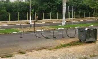 Imagem 6: Terreno para alugar em Campinas, Parque Taquaral, com 484.63 m²