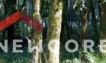 Imagem: Lote em condomínio em ERS 466 - Bosque