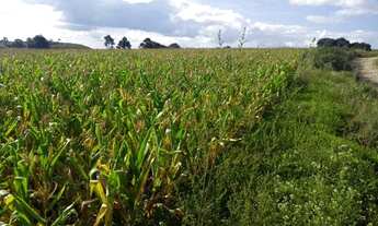 Imagem 5: Fazenda a Venda em Agua Doce no Horizonte
