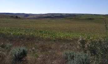 Imagem 4: Fazenda a Venda em Agua Doce no Horizonte