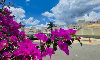 Imagem 3: APARTAMENTO TÉRREO PRONTO PARA MORAR