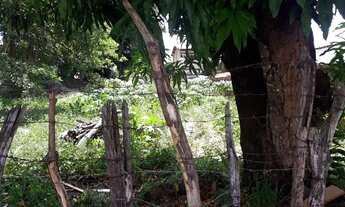 Imagem 3: Terreno em Nova Parnamirim 800 metros quadrados