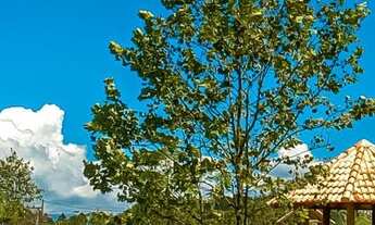 Imagem 5: Terreno Condomínio - Capão da Canoa - RS