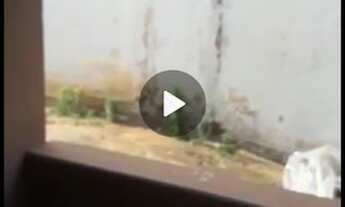 Imagem 5: Casa Casa com 3 dormitórios