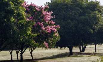 Imagem 4: Residencial Ipê Rosa, terreno de 2.000 m² disponível