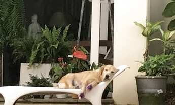 Imagem 3: Térrea para venda possui 420 metros quadrados com 4 quartos em Vila Trujillo - Sorocaba