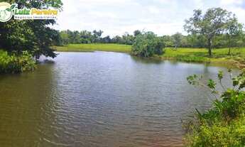 Imagem 5: FAZENDA À VENDA EM GOIANORTE - TO - 759,88 HECTARES (DUPLA APTIDÃO