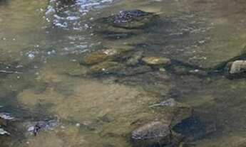 Imagem 5: Chácaras em Mateus Leme com água passando nos fundos