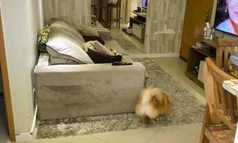 Imagem 3: CAMPINAS - Apartamento Padrão - Parque Das Cachoeiras