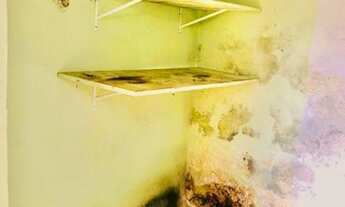 Imagem 4: Belíssima Casa para venda no bairro Vila Camilópolis - Santo André - SP