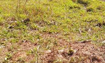 Imagem 6: Chácara em Pirenópolis