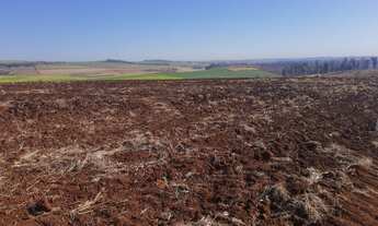 Imagem 2: EXCELENTE AREA- ZONA SUL - ENTRE RIBEIRAO E BONFIM PAULISTA