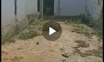 Imagem 3: Casa Casa com 3 dormitórios