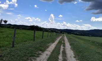 Imagem 6: 54 alqueires em Padre Bernado-Go