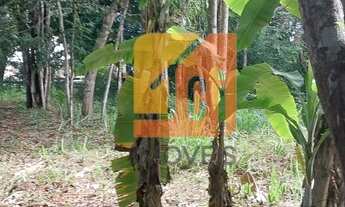 Imagem 3: Lote magnífico no Village II