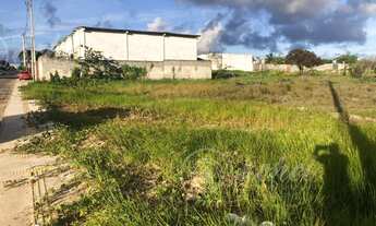 Imagem 4: TERRENOCAMAÇARI