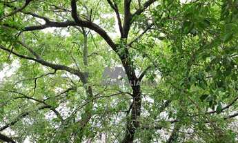 Imagem 2: Rio de Janeiro - Apartamento Padrão - Humaitá